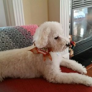 Meet your Posher, Karen